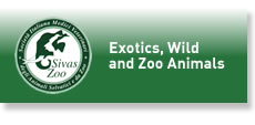 Sivas Zoo - exotics, wild and zoo animals