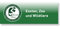 Sivas Zoo - exotics, wild and zoo animals