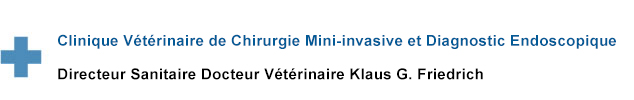 Ambulatorio Veterinario di Diagnostica e Chirurgia Endoscopica